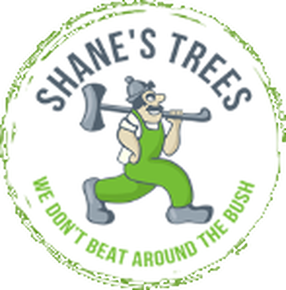 Shane's Trees logo